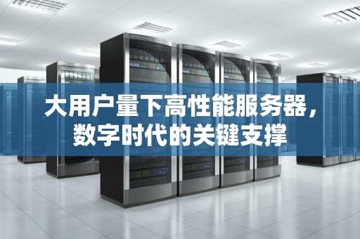 大用户量下高性能服务器，数字时代的关键支撑