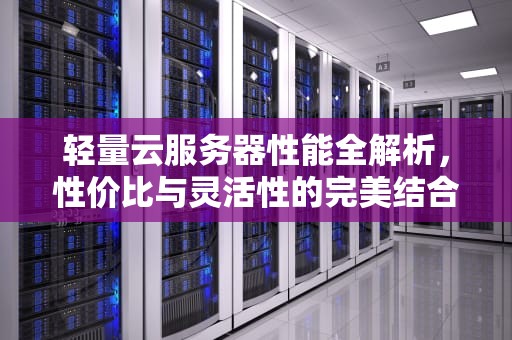 轻量云服务器性能全解析，性价比与灵活性的完美结合
