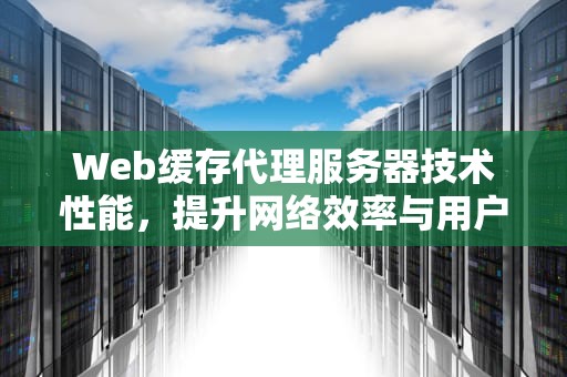 Web缓存代理服务器技术性能，提升网络效率与用户体验的关键