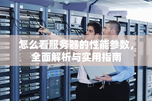 怎么看服务器的性能参数，全面解析与实用指南