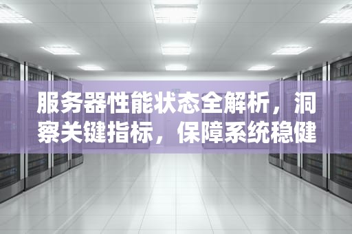 服务器性能状态全解析，洞察关键指标，保障系统稳健运行