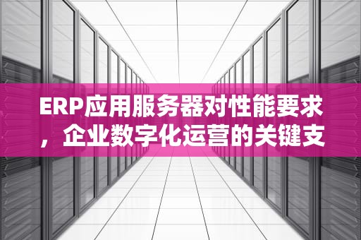 ERP应用服务器对性能要求，企业数字化运营的关键支撑