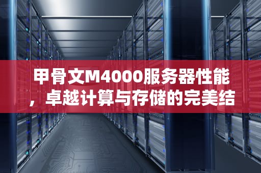 甲骨文M4000服务器性能，卓越计算与存储的完美结合