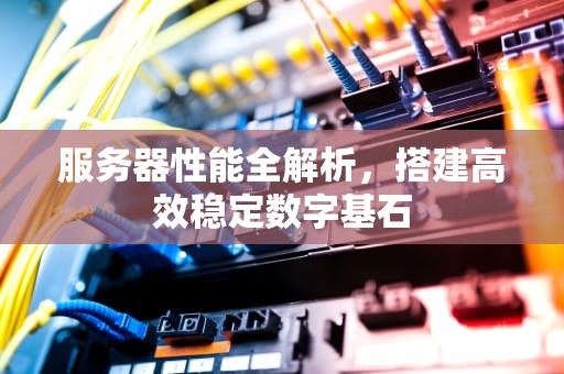 服务器性能全解析，搭建高效稳定数字基石