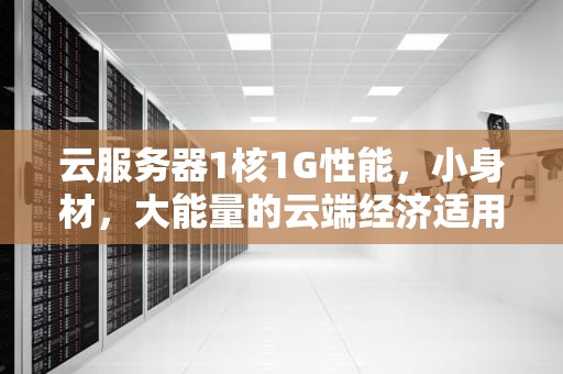 云服务器1核1G性能，小身材，大能量的云端经济适用型选手