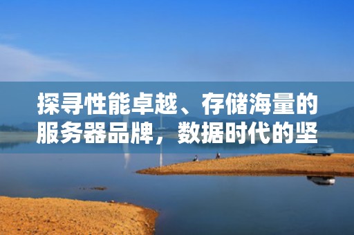 探寻性能卓越、存储海量的服务器品牌，数据时代的坚实后盾