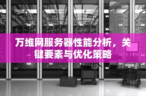 万维网服务器性能分析，关键要素与优化策略