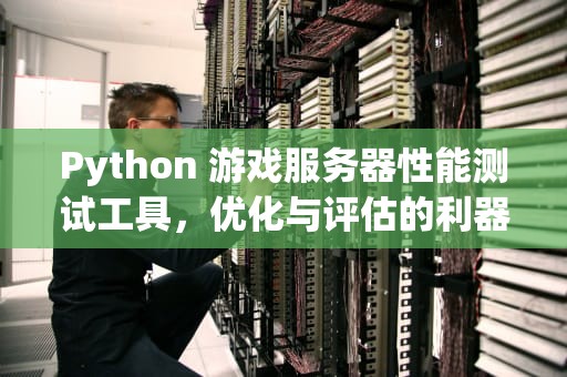 Python 游戏服务器性能测试工具，优化与评估的利器