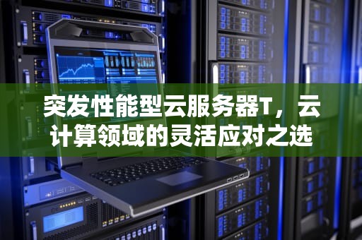 突发性能型云服务器T，云计算领域的灵活应对之选