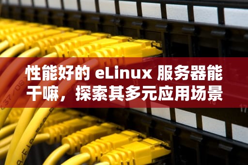 性能好的 eLinux 服务器能干嘛，探索其多元应用场景