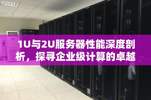 1U与2U服务器性能深度剖析，探寻企业级计算的卓越之选