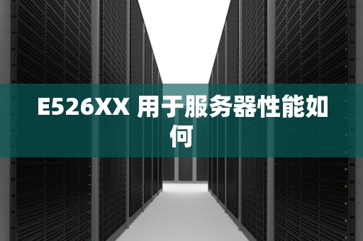 E526XX 用于服务器性能如何