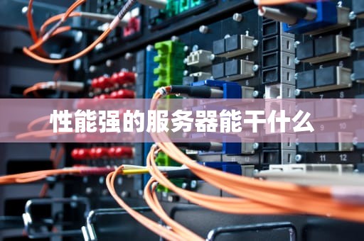 性能强的服务器能干什么