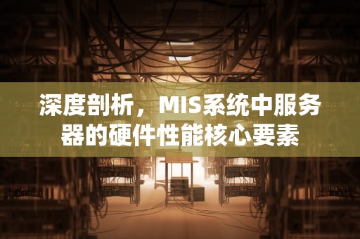 深度剖析，MIS系统中服务器的硬件性能核心要素