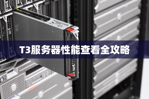 T3服务器性能查看全攻略