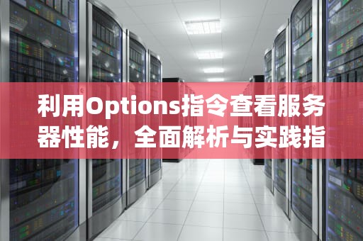 利用Options指令查看服务器性能，全面解析与实践指南