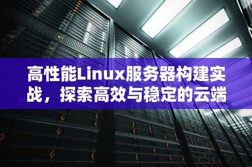 高性能Linux服务器构建实战，探索高效与稳定的云端基石