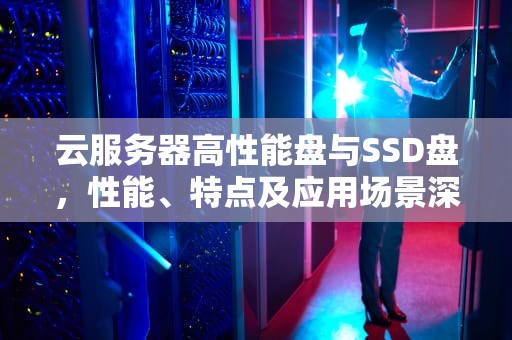 云服务器高性能盘与SSD盘，性能、特点及应用场景深度解析