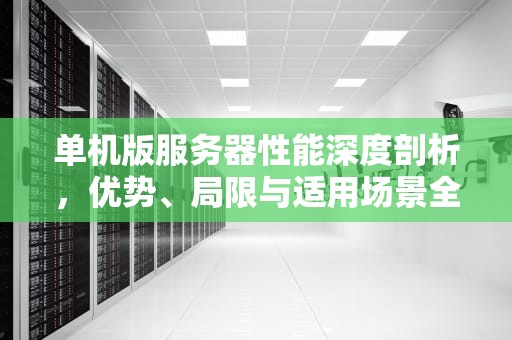 单机版服务器性能深度剖析，优势、局限与适用场景全解析
