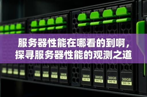 服务器性能在哪看的到啊，探寻服务器性能的观测之道