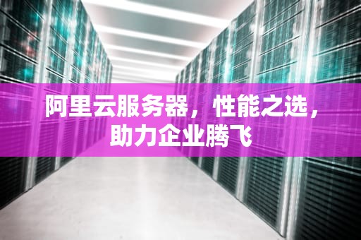 阿里云服务器，性能之选，助力企业腾飞