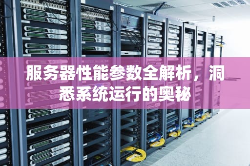 服务器性能参数全解析，洞悉系统运行的奥秘