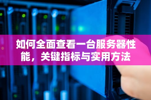 如何全面查看一台服务器性能，关键指标与实用方法