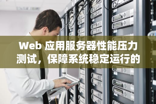 Web 应用服务器性能压力测试，保障系统稳定运行的关键