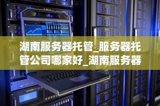 湖南服务器托管_服务器托管公司哪家好_湖南服务器托管服务的优势与选择