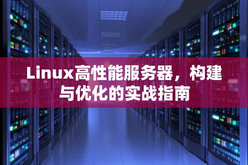 Linux高性能服务器，构建与优化的实战指南