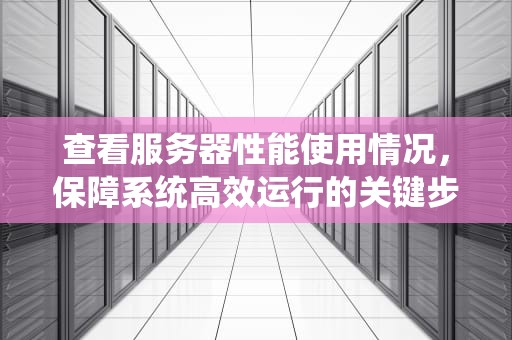 查看服务器性能使用情况，保障系统高效运行的关键步骤