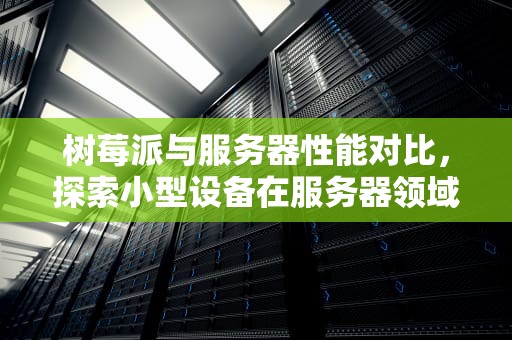 树莓派与服务器性能对比，探索小型设备在服务器领域的潜力