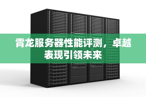霄龙服务器性能评测，卓越表现引领未来