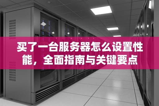 买了一台服务器怎么设置性能，全面指南与关键要点