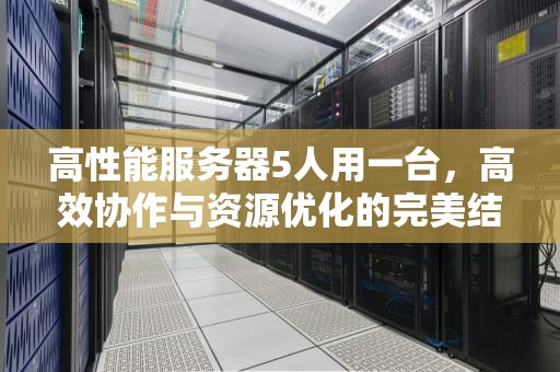 高性能服务器5人用一台，高效协作与资源优化的完美结合