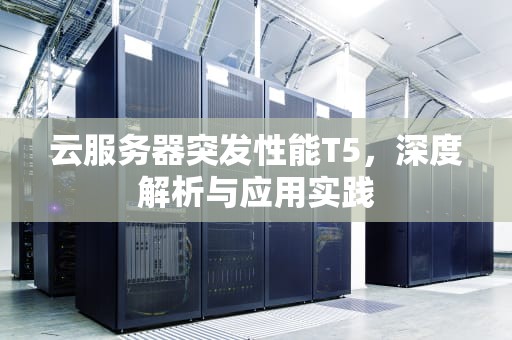 云服务器突发性能T5，深度解析与应用实践