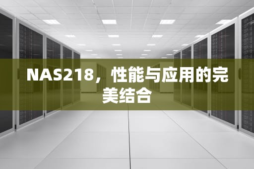 NAS218，性能与应用的完美结合