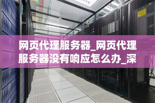网页代理服务器_网页代理服务器没有响应怎么办_深入理解网页代理服务器