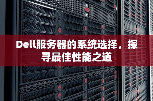 Dell服务器的系统选择，探寻最佳性能之道