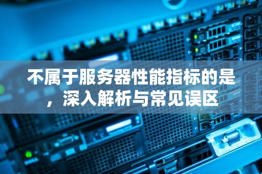 不属于服务器性能指标的是，深入解析与常见误区