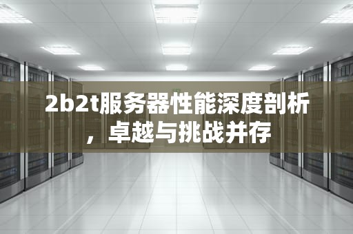 2b2t服务器性能深度剖析，卓越与挑战并存