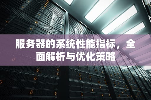 服务器的系统性能指标，全面解析与优化策略