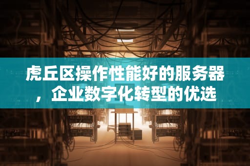 虎丘区操作性能好的服务器，企业数字化转型的优选