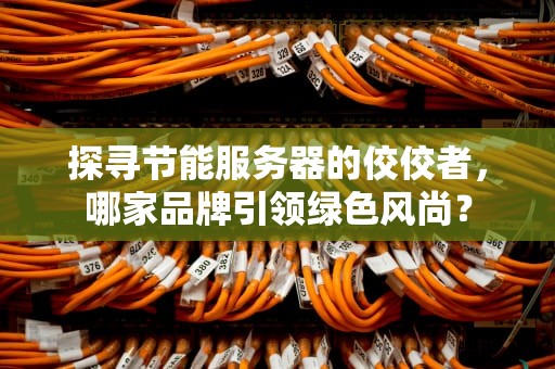 探寻节能服务器的佼佼者，哪家品牌引领绿色风尚？