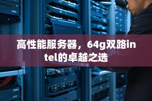 高性能服务器，64g双路intel的卓越之选