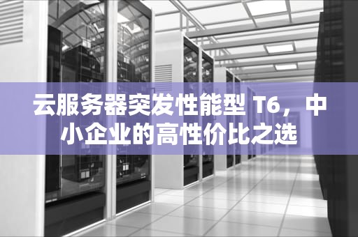 云服务器突发性能型 T6，中小企业的高性价比之选