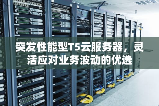 突发性能型T5云服务器，灵活应对业务波动的优选