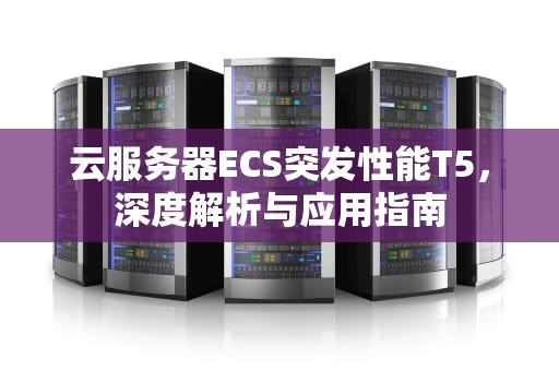 云服务器ECS突发性能T5，深度解析与应用指南