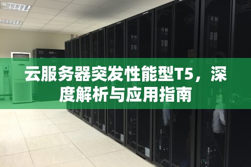 云服务器突发性能型T5，深度解析与应用指南