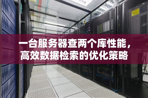 一台服务器查两个库性能，高效数据检索的优化策略